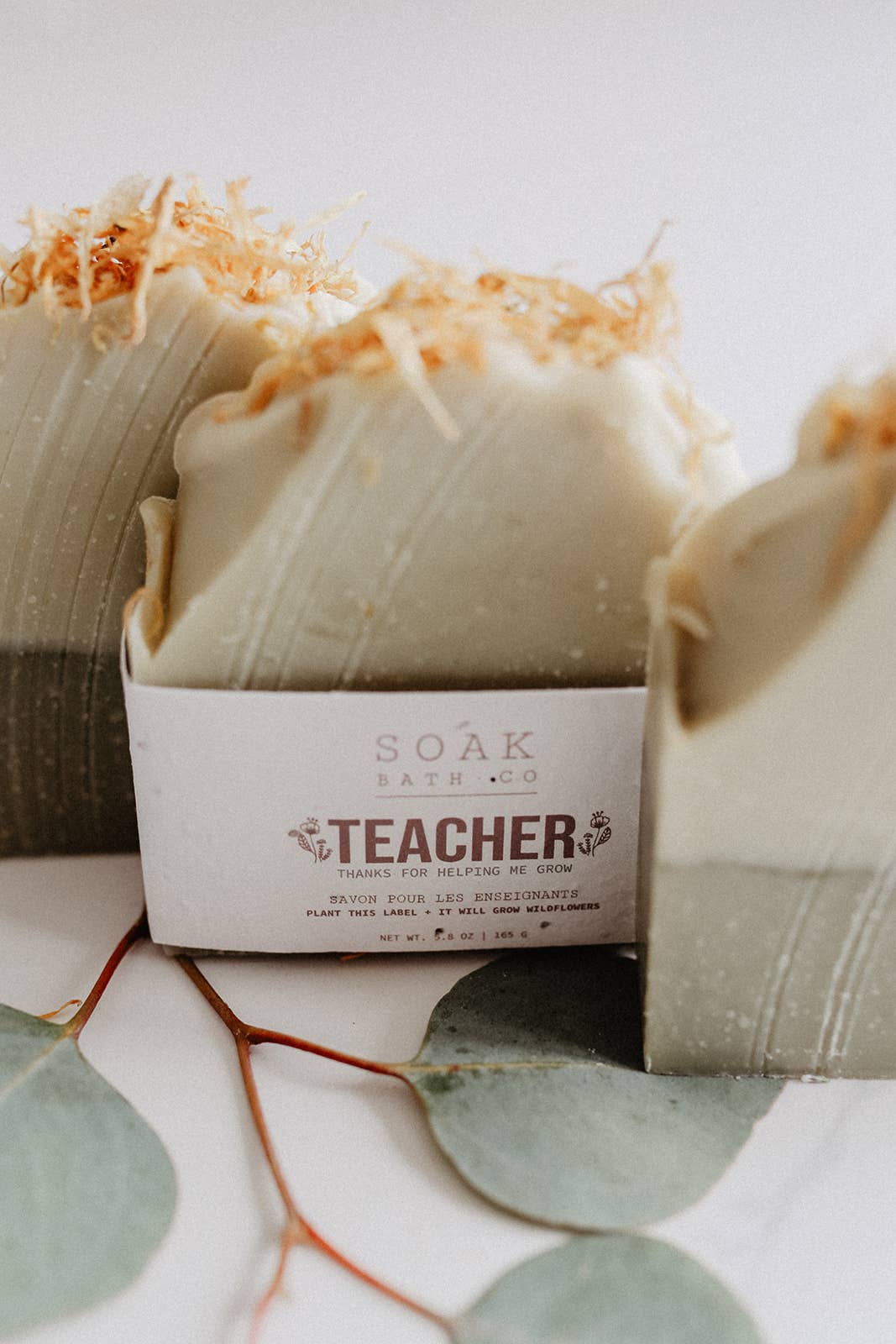 Teacher Soap Bar